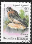 Stamps : Africa : Morocco :  aves