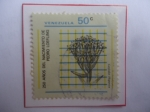 Stamps Venezuela -  Cotiledon Hispánico - 250 Años del Nacimiento de Pedro Loefling ( 1729-1979)- Naturalista y Botánico