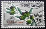 Stamps Morocco -  Censo. 