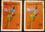 Stamps : Africa : Morocco :  Naturaleza.Amberboa crupinoides 