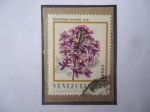 Stamps Venezuela -  Epidendrum Secundum. Jacq.-Flora de Venezuela.