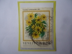 Stamps Venezuela -  Oyedaea verbesinoides. DC. - Flora de Venezuela
