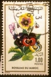 Sellos de Africa - Marruecos -  Flores. Viola wittrockiana