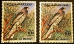 Stamps Morocco -  Fauna.  Melierax metabates 