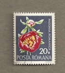 Stamps : Europe : Romania :  Flor Peonía
