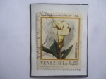 Sellos de America - Venezuela -  Symbolanthus vasculosus (Griseb)-Gilg- Serie: Flores de Venezuela.