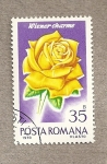 Stamps Romania -  Rosa variedad 