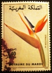 Stamps Morocco -  Flora. Strelitzia sp.