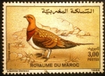Stamps Morocco -  Fauna. Pterocles alchata 