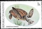Stamps Maldives -  fauna