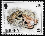 Sellos de Europa - Isla de Jersey -  fauna