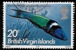 Sellos de America - Islas Virgenes -  fauna
