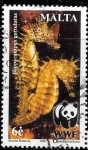 Stamps Malta -  fauna