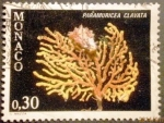 Stamps Monaco -  Corales. Paramuricea clavata