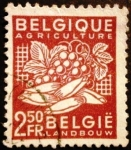 Stamps : Europe : Belgium :  Exportación. Agricultura  