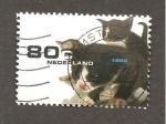 Stamps Netherlands -  CAMBIADO CR