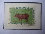Stamps Ecuador -  Tapirus Villosus- IV Centenario de la Fundación de Baeza (15579-1959)Por el Español Gil Ramírez Dáva