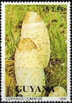 Stamps Guyana -  Hongos (1990), Shaggy Ink Cap (Coprinus comatus)
