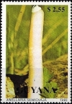 Sellos del Mundo : America : Guyana : Hongos (1990), Shiny Mottlegill (Anellaria semiovale)