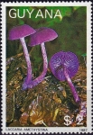 Stamps Guyana -  Hongos (1988), Engañador amatista (Laccaria amethystina)