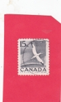 Stamps : America : Canada :  AVE