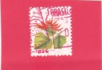Stamps Brazil -  FLORES- ERYTHINA SPECIOSA