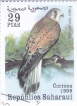Stamps Morocco -  AVE-ALCÓN