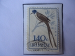 Stamps Uruguay -  Tijereta- Tyrannus savana- Tijreta Sabanera- Sello de1,40 Céntimos, año 1962.
