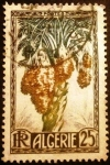 Stamps : Africa : Algeria :  Argelia Francesa. Dátiles