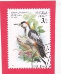 Sellos de Europa - Hungr�a -  AVE-Pájaro Carpintero Sirio (Dendrocopos syriacus)