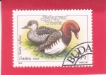 Stamps Hungary -  Pochard de cresta roja (Netta rufina)