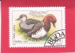 Sellos de Europa - Hungr�a -  Pochard de cresta roja (Netta rufina)