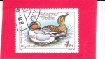 Stamps Hungary -  Wigeon euroasiático (Anas penélope)