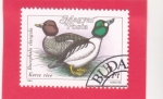Stamps Hungary -   Teal euroasiático (Anas crecca)