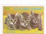 Sellos de Africa - Guinea Ecuatorial -  GATOS EUROPEOS