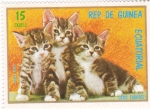 Stamps : Africa : Equatorial_Guinea :  GATOS EUROPEOS