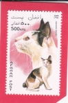 Stamps : Asia : Afghanistan :  GATO JAPONES