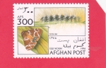 Stamps Afghanistan -  MARIPOSA