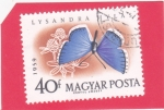 Stamps Hungary -  MARIPOSA