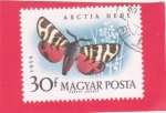Sellos de Europa - Hungra -  MARIPOSA