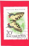 Stamps : Europe : Hungary :  MARIPOSA