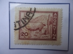 Stamps Argentina -  Llama (Lama Glama) - Sello de 20 Ctvs. año 1961