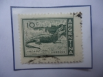 Stamps Argentina -  Yacaré - Caimán - Sello de 10 Ctvs. año 1959