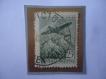 Stamps Argentina -  Líneas Aéreas  del Estado- Avión sobre la Cordillera de los Andes - Sello de 25 Ctvs. Año 1946. 