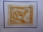 Sellos de America - Argentina -  Puma (Felis concolor)- Sello de 50 Ctvs. Año 1960
