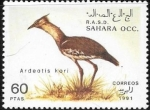 Sellos de Africa - Marruecos -  aves