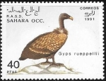 Stamps Morocco -  aves