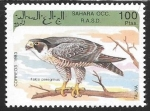 Stamps : Africa : Morocco :  aves