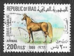 Stamps Iraq -  C31 - Semental Árabe