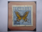 Stamps Ecuador -  Papilio Torquatus Leptalea- Serie: Mariposas 1961- sellos de 30 Ctvs.